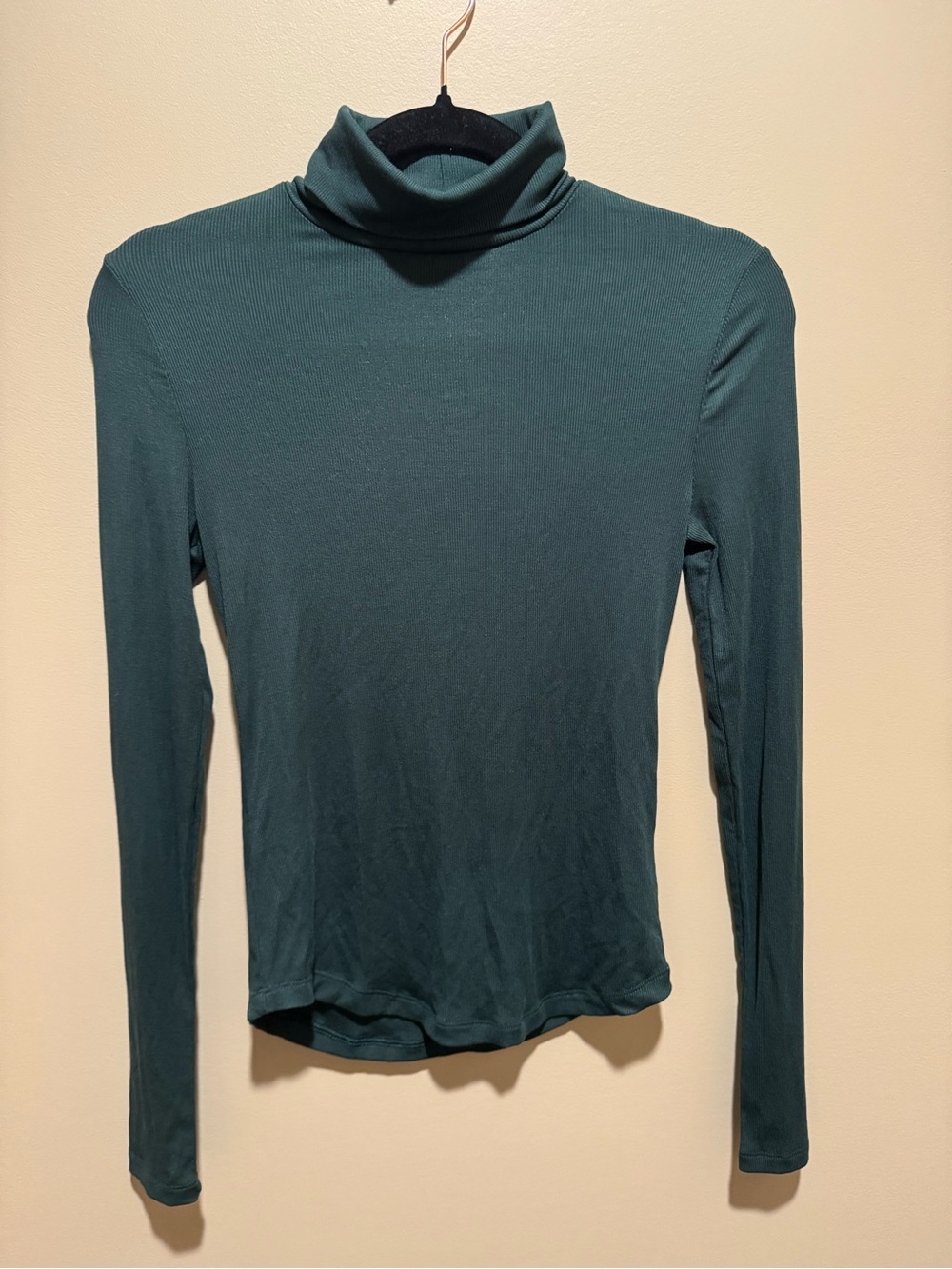 ARITZIA Sunday Best Ribbed Turtleneck, size Small.